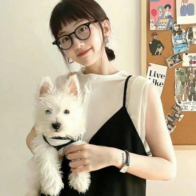 丁文江 在线观看封面